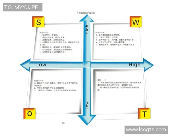 深入分析北京篮球队的运营策略与市场推广模式